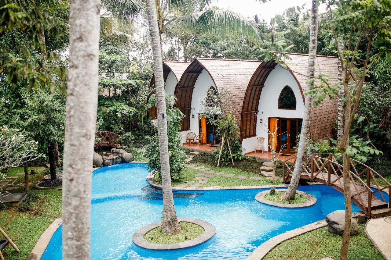 Bird - Chse Certified Village de vacances