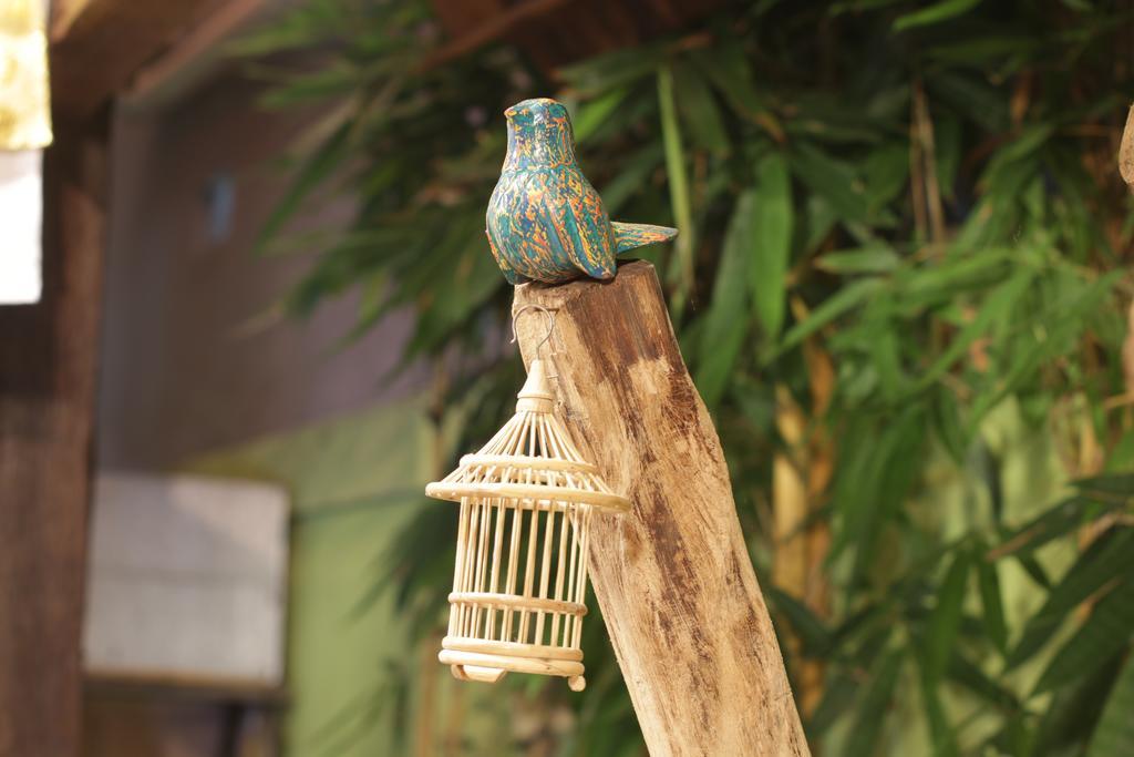 Bird Ferienpark Ubud